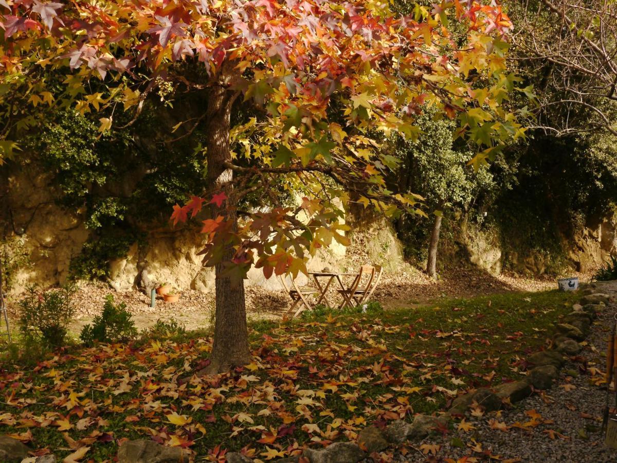 San Miguel de la PinedaMas Franch公寓 外观 照片